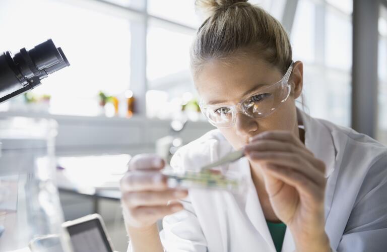 close up of female scientist examining petri dish in laboratory