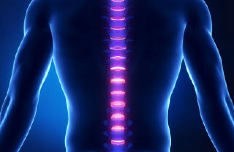 spine, back, xray