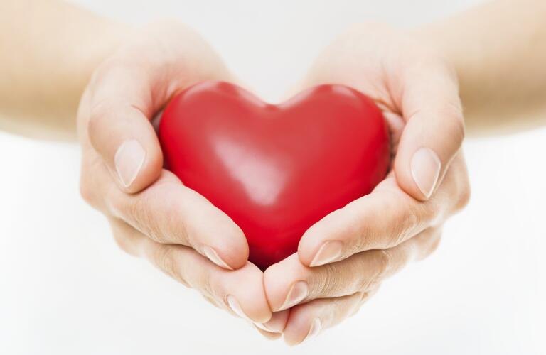 Hands Presenting Heart