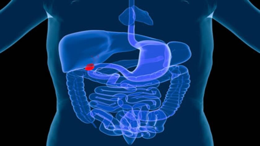 Gallbladder Scan