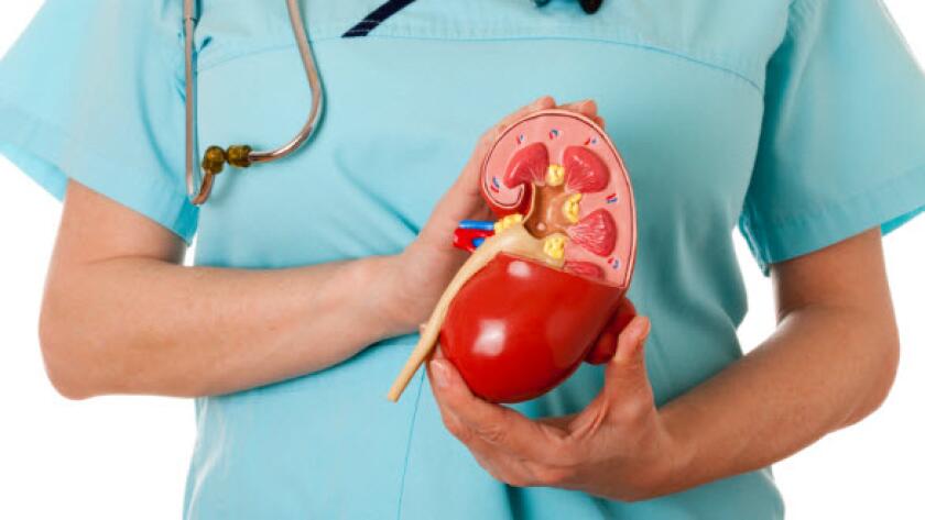 Kidney Failure