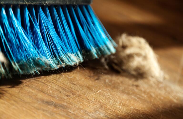 Broom dust and fur ball on parquet floor