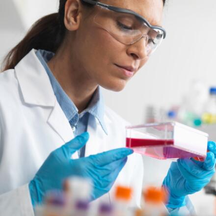 Regenexx Tampa Bay Tampa Fl Regenexx tampa bay, tampa, florida. regenexx tampa bay tampa fl