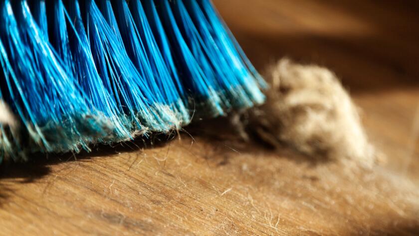 Broom dust and fur ball on parquet floor