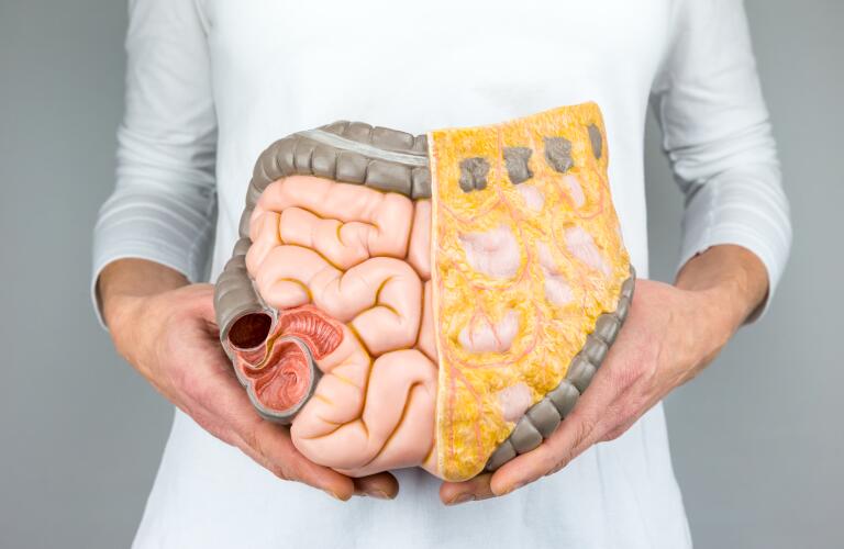 Woman holding model of human intestines