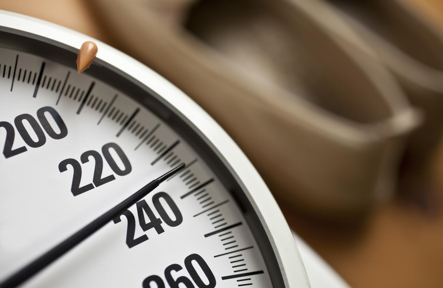 The Pros and Cons of Popular Weight Loss Plans (no hyphen)