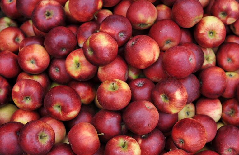 red-apples