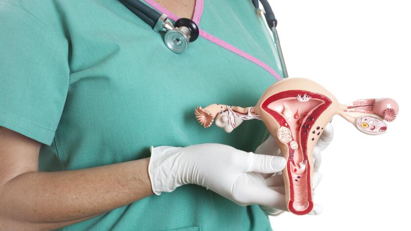 Hysterectomy Uterus Removal Womens Health