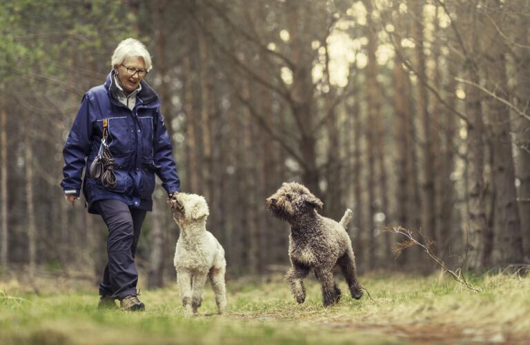 senior woman hiking with dogs