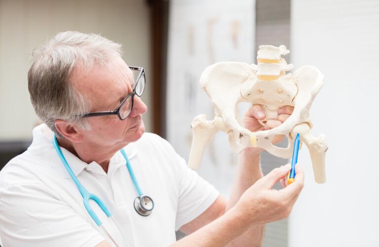 hip-joint-on-model-skeleton