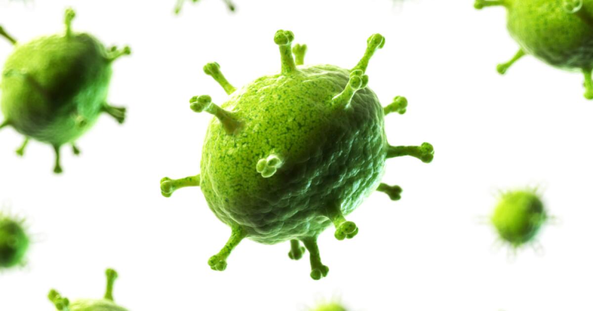 Viral Diseases Symptoms Causes Treatments Viral Diseases Symptoms Causes Treatments