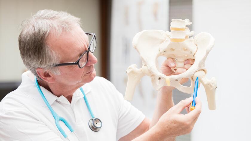 hip-joint-on-model-skeleton