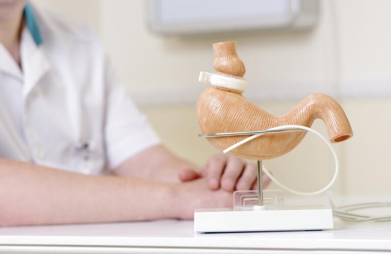 Lap-Band placed on a replica stomach