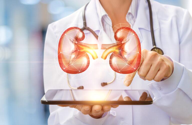 Female doctor with illustration of kidneys over tablet