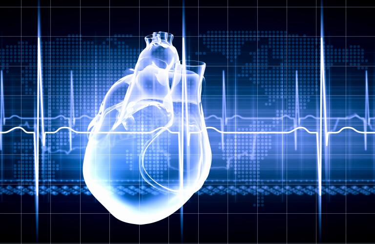 Human Heart Beats