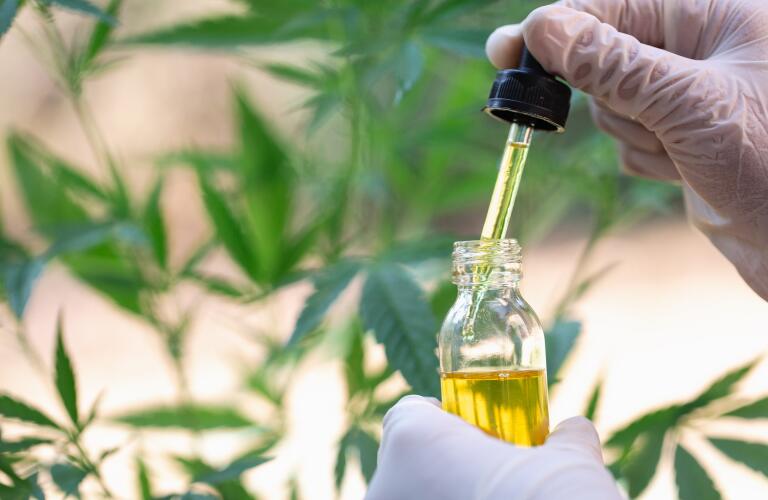 Close-up of CBD oil in syringe against marijuana leaves