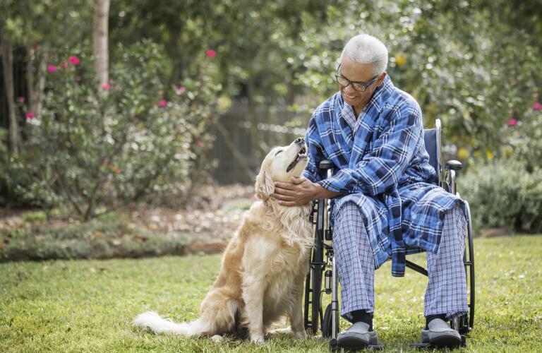 Senior man in wheelchair petting dog
