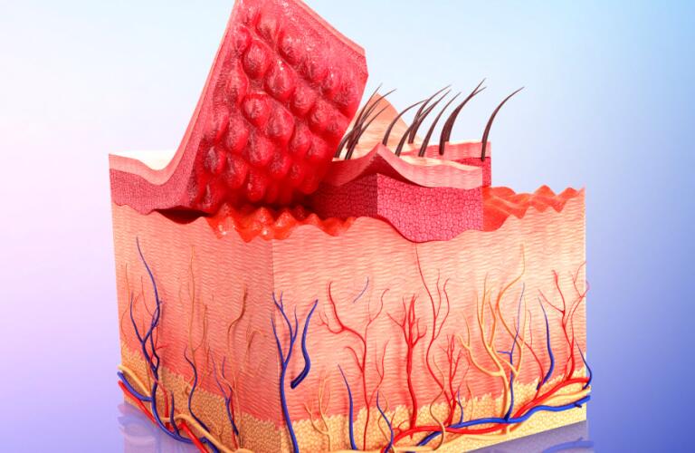 human skin, artwork