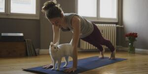 Young Caucasian woman doing plank exercise or yoga in apartment with cat next to her
