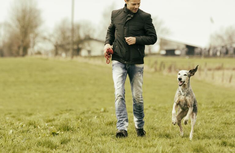 man-walking-with-dog-in-meadow