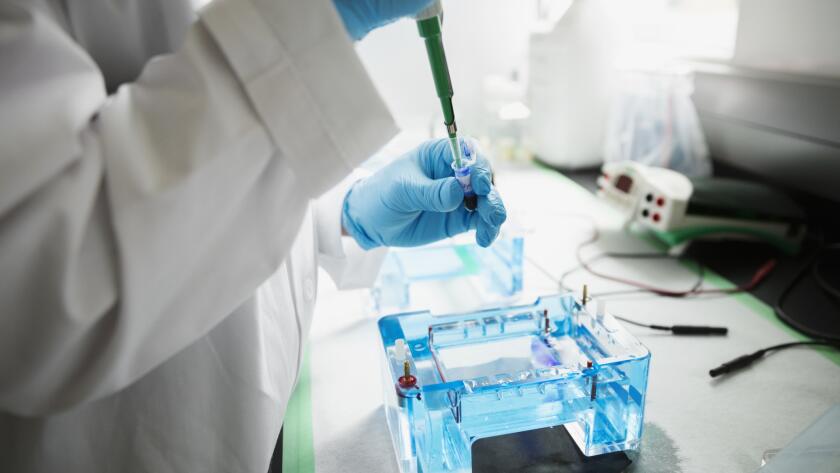 scientist-with-pipette-in-laboratory