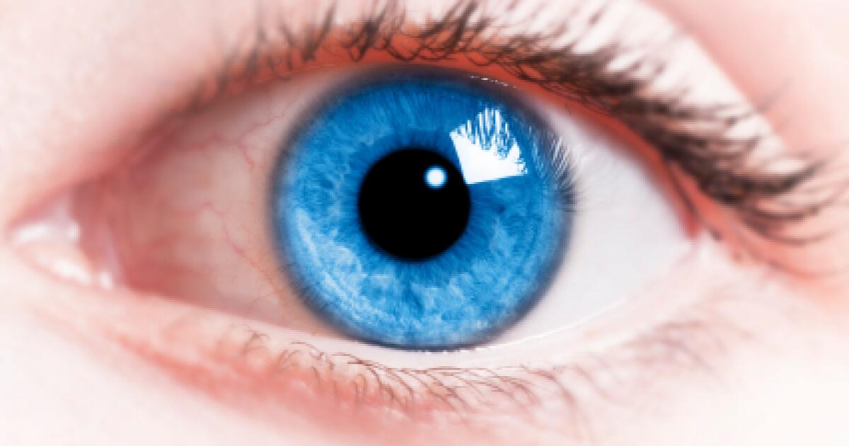single fixed dilated pupil single fixed dilated pupil