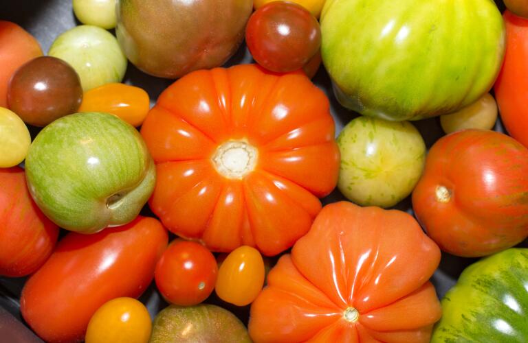 Can Nightshade Foods Make Your Rheumatoid Arthritis Worse