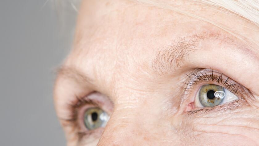 Close-up of eyes