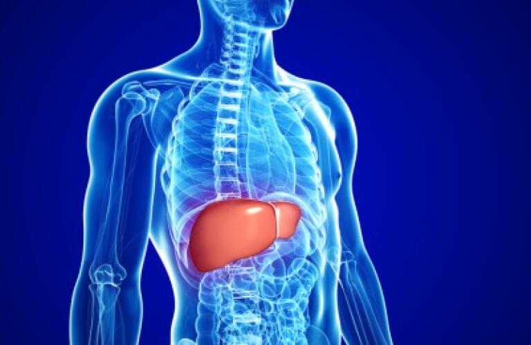 Liver Transplant