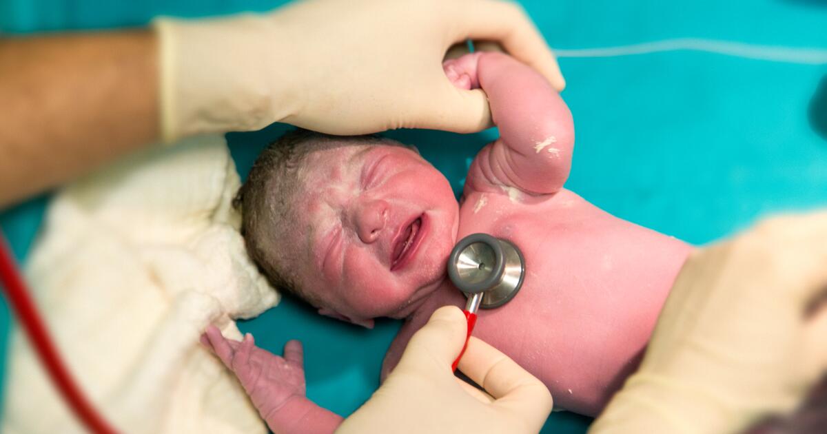 What Is a Neonatologist? Baby Doctor Newborn Pediatrician Premie