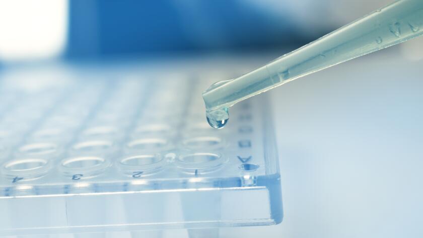 pipette-dropping-fluid-onto-plate