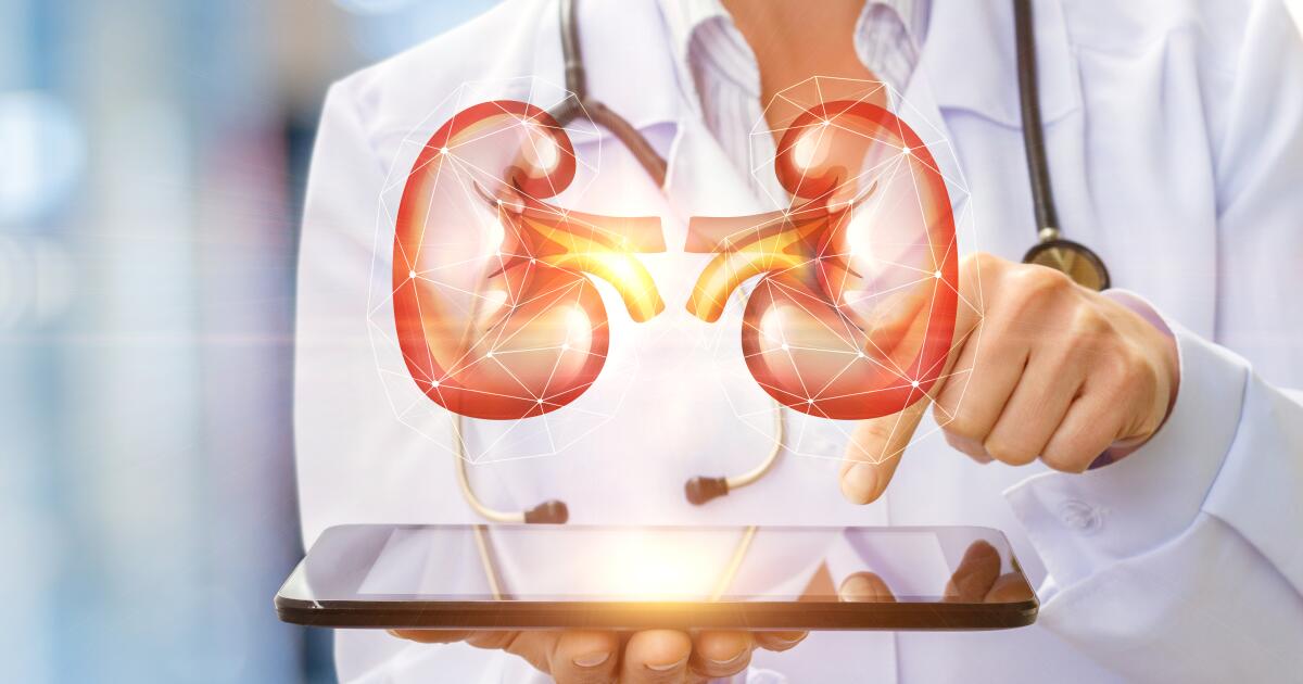 What Is a Nephrologist? Kidney Doctor Renal Specialist Dialysis