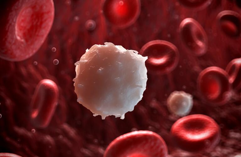 5 Things To Know About Your White Blood Cell Count