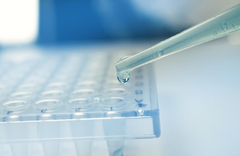 pipette-dropping-fluid-onto-plate