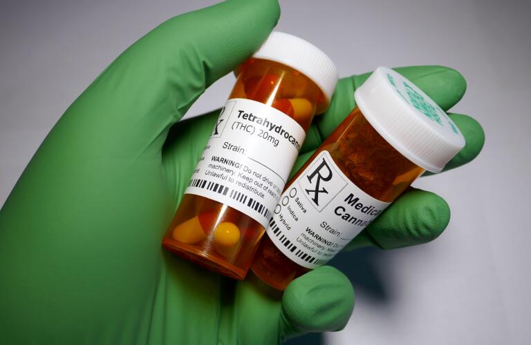 Close-up of hand with green glove holding bottles of cannabis drugs