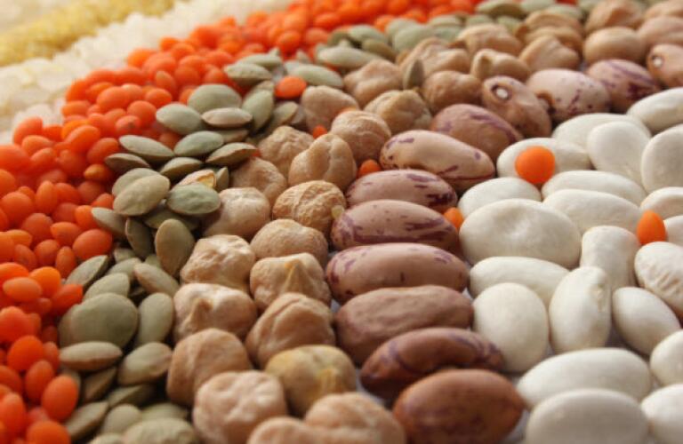 Beans