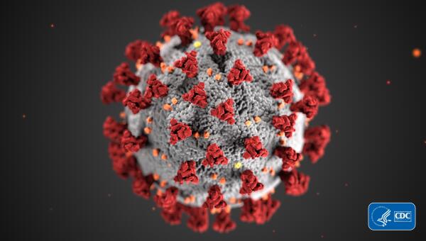 illustration of coronavirus, image credit Alissa Eckert and Dan Higgins from the Centers for Disease Control and Prevention