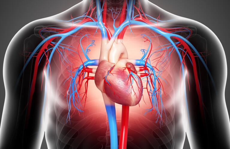 Do You Know The Difference Between Heart Failure Cardiac Arrest