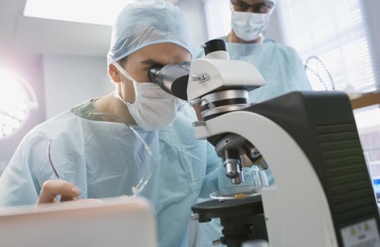 Looking into microscope