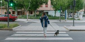 Unidentified young woman crossing street while walking dog