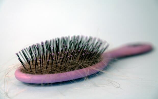 Hairbrush Hairbrush