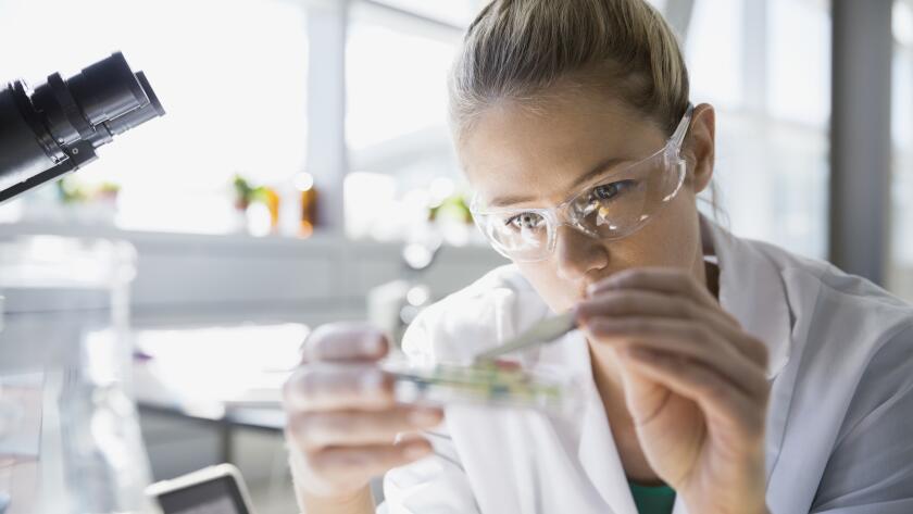 close up of female scientist examining petri dish in laboratory