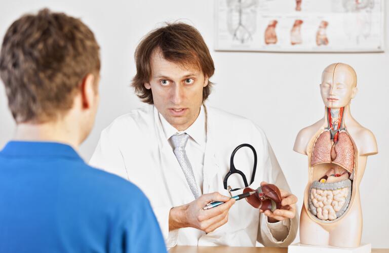 doctor holding model of an organ
