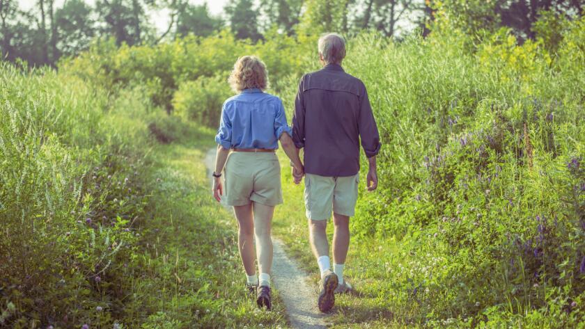 elderly man and woman walking in fields