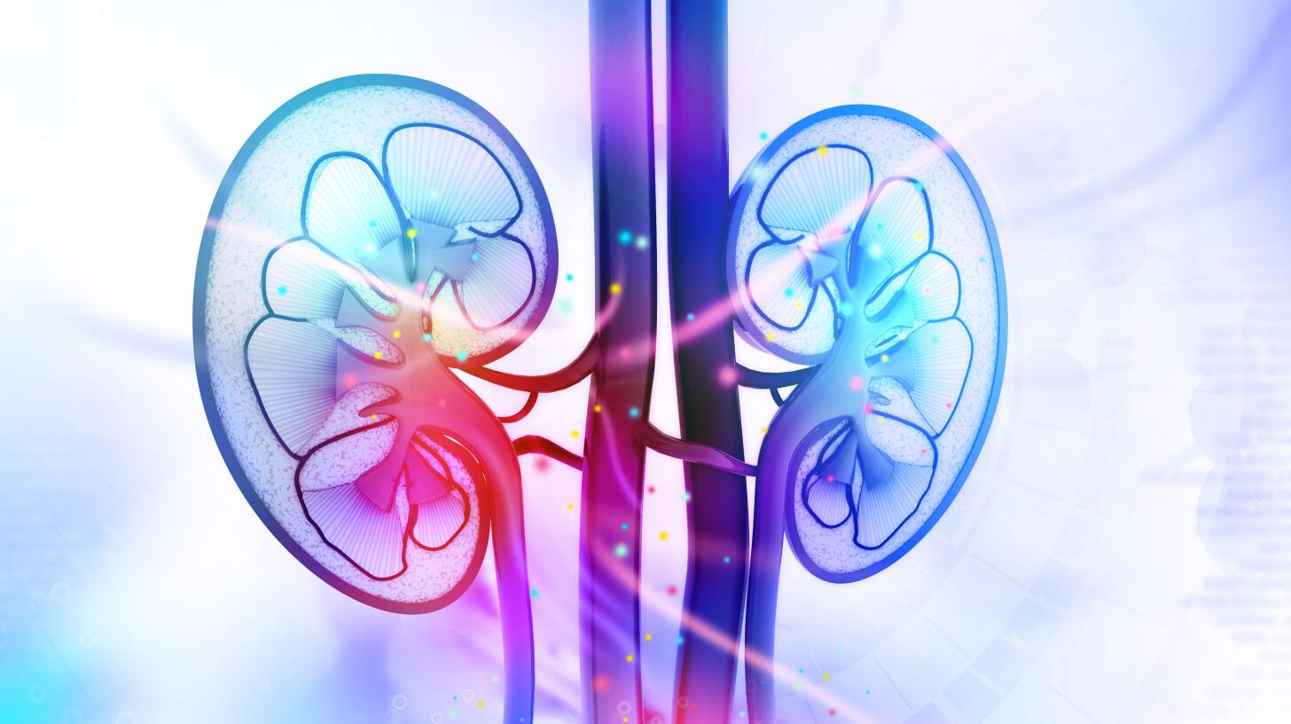 What Doctors Want You to Know About Kidney Removal