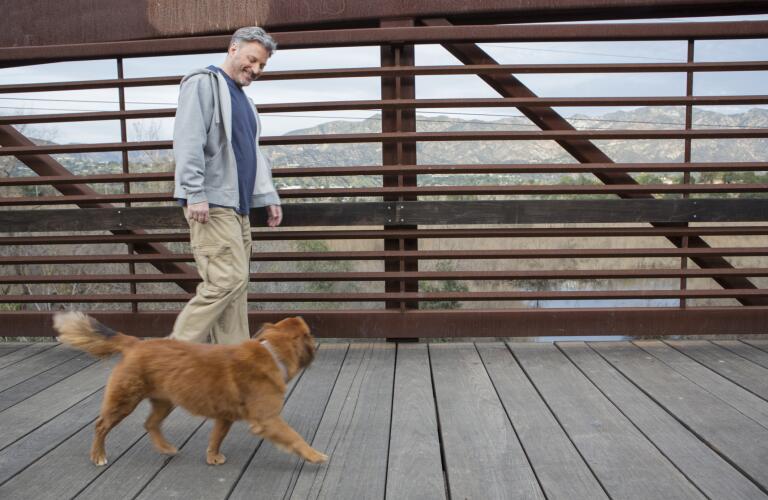 middle-aged-man-walking-dog