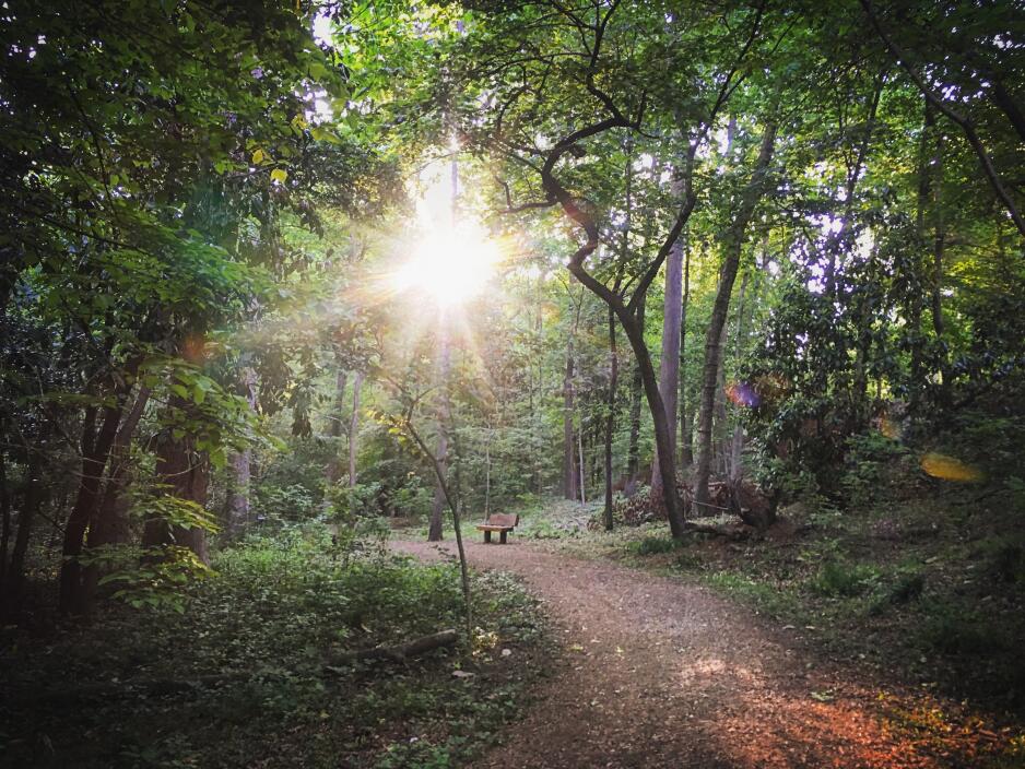 Hiking Near Me Easy Hiking Walking Trails In Atlanta